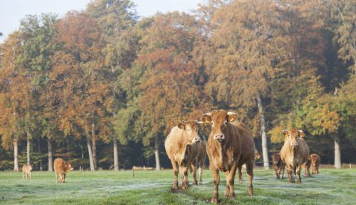 Unsere Biohöfe im Wandel der Jahreszeit