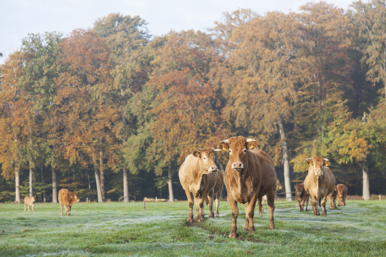 Unsere Biohöfe im Wandel der Jahreszeit